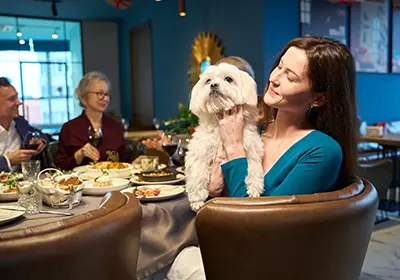 Taking Your Dog to the Pub Simple Tips for a Happy Outing