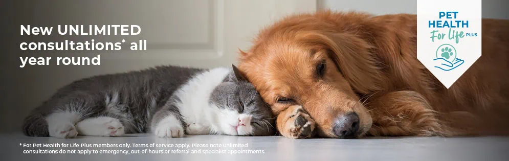 Pet Health for Life Plan | Warren House in Kent