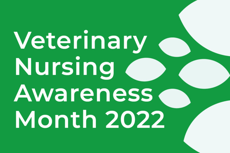Veterinary Nursing Awareness Month at Warren House Vets