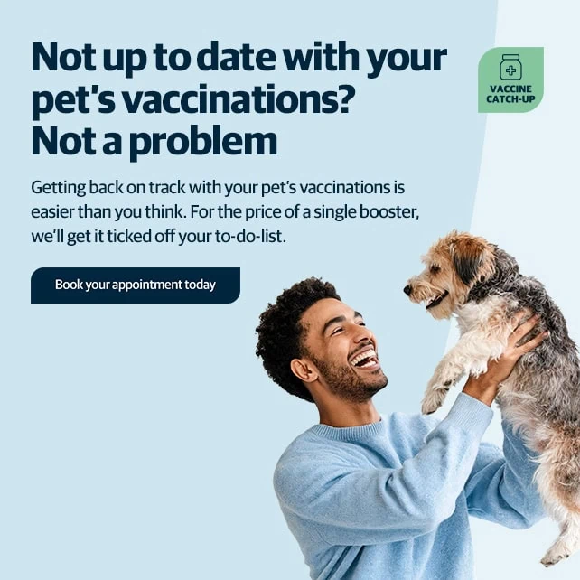 Vets in Rochester | Vets in Chatham |Vets in Kent | Warren House Vets