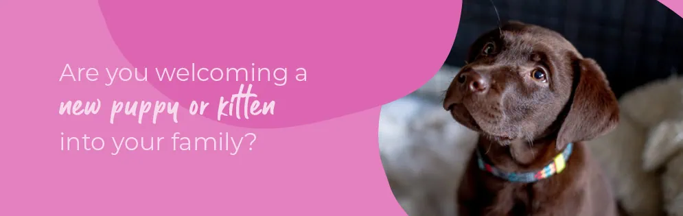 Start of Life for Your Puppy or Kitten