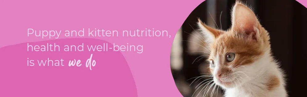 Start of Life for Your Puppy or Kitten