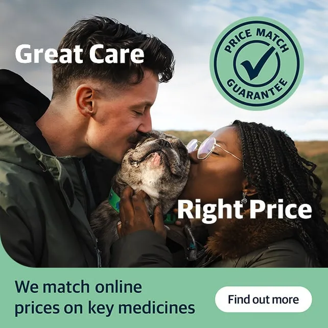 Vets in Rochester | Vets in Chatham |Vets in Kent | Warren House Vets