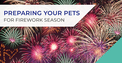 Preparing your pets for firework season in Chatham