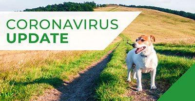 Warren House Vets COVID-19 (Coronavirus) update 