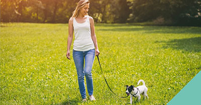 How to teach your dog to walk with a lead