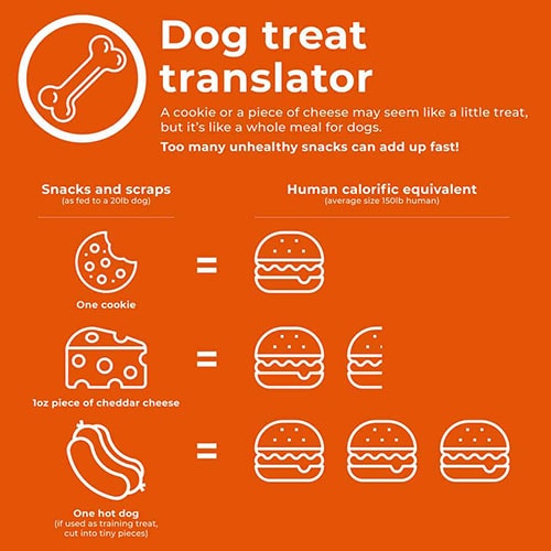 take the weight off dog infographics
