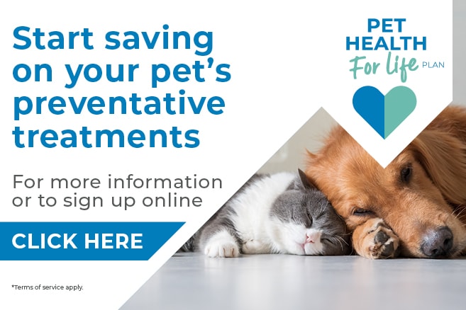 Start saving on your pets preventative treatments